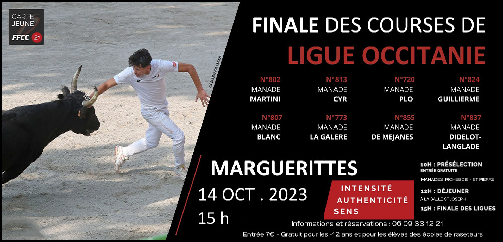 2023 : Finale Ligue Occitanie