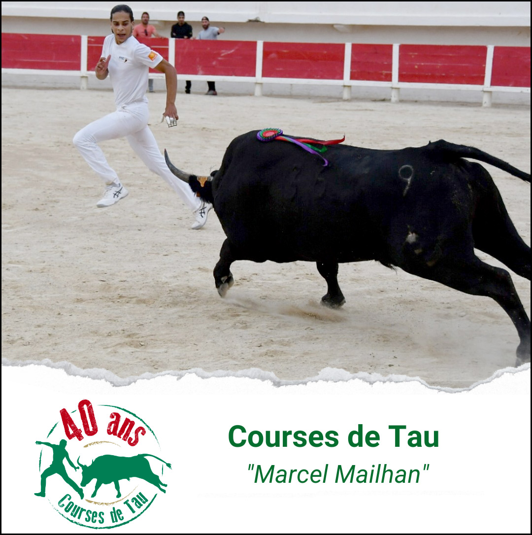Calendrier 2023 des Courses de tau "Marcel Mailhan"