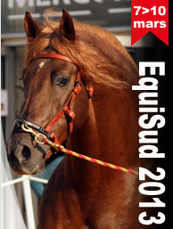 Equisud, Salon du cheval 2013