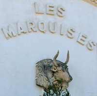 LAURENT - Les Marquises