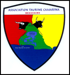 Assemblée Générale de l'Association "Camarina" 2013