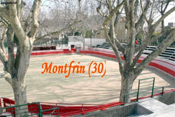 Club Taurin ''Lou pougaou'', Montfrin (30) - Saison 2007