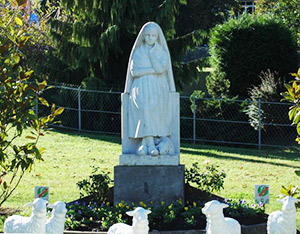 Quelques images du Pèlerinage à Lourdes 2016