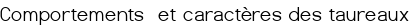 Comportements et caractères des taureaux