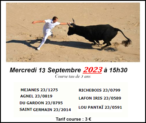  Courses de tau "Marcel Mailhan"<br>Les manades pour le 13 septembre 2023