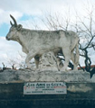 Hommage à « Goya » Taureau de Camargue