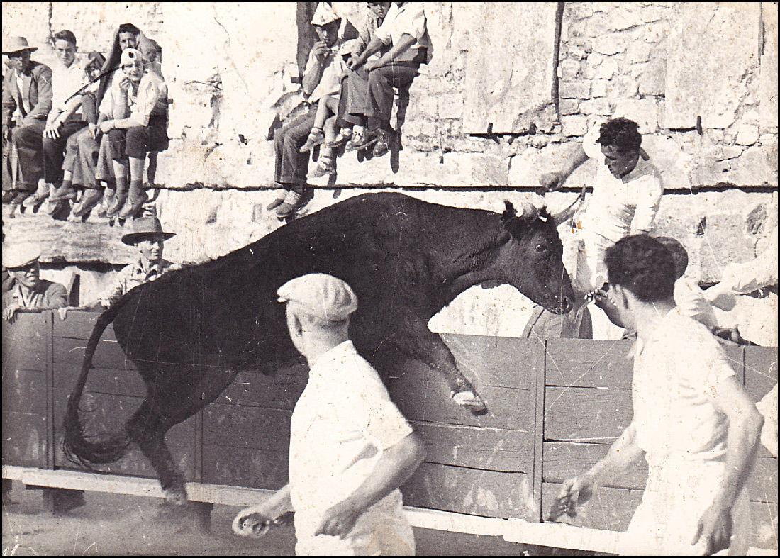 Document photo, Arles, Gandar,Douleau
