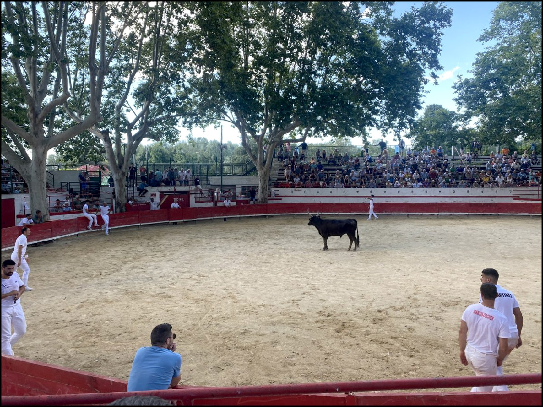 Montfrin, on y revient toujours un jour !
