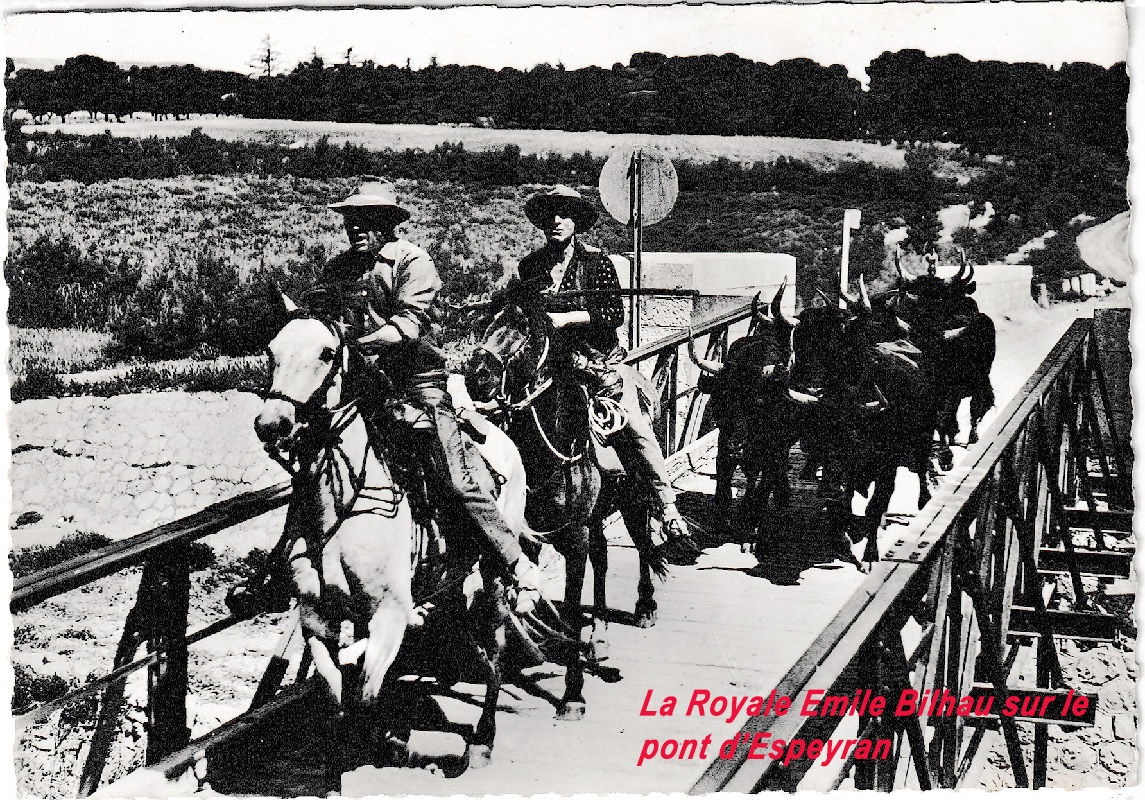 Sur le pont d'Espeyran