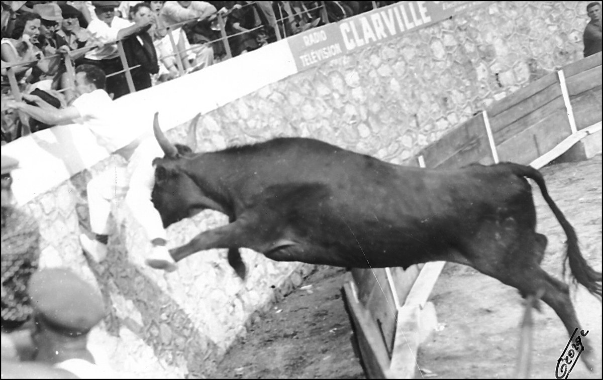 Document photo