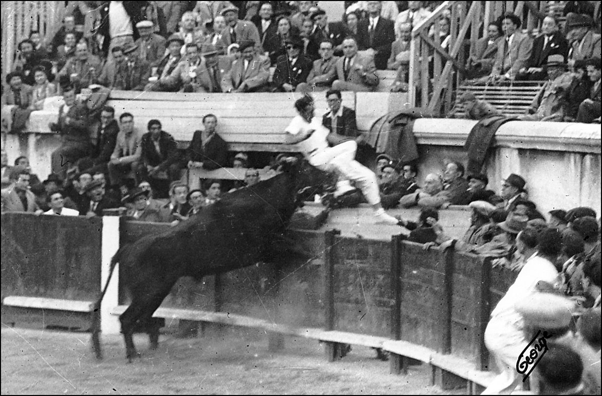 Document photo, Labrado, Gandar