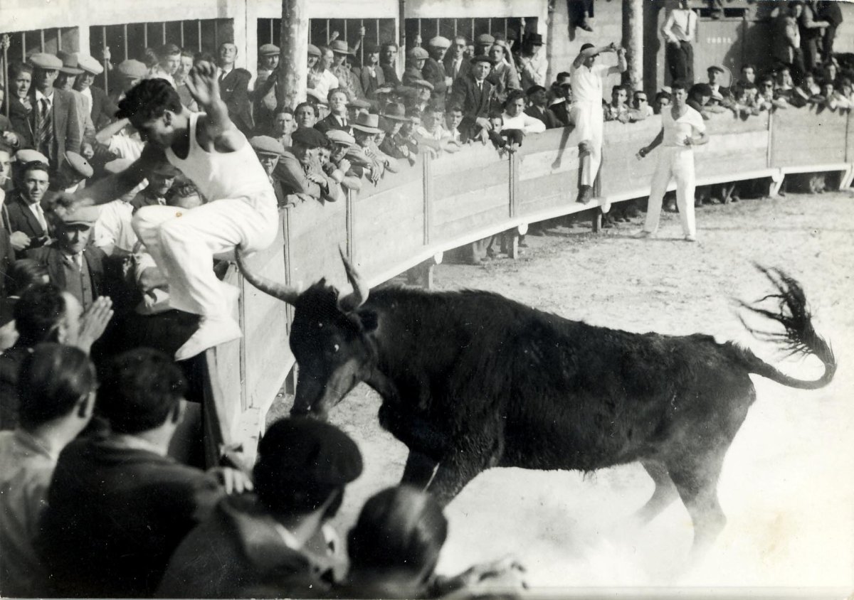 Photo Douleau André - Vanneau