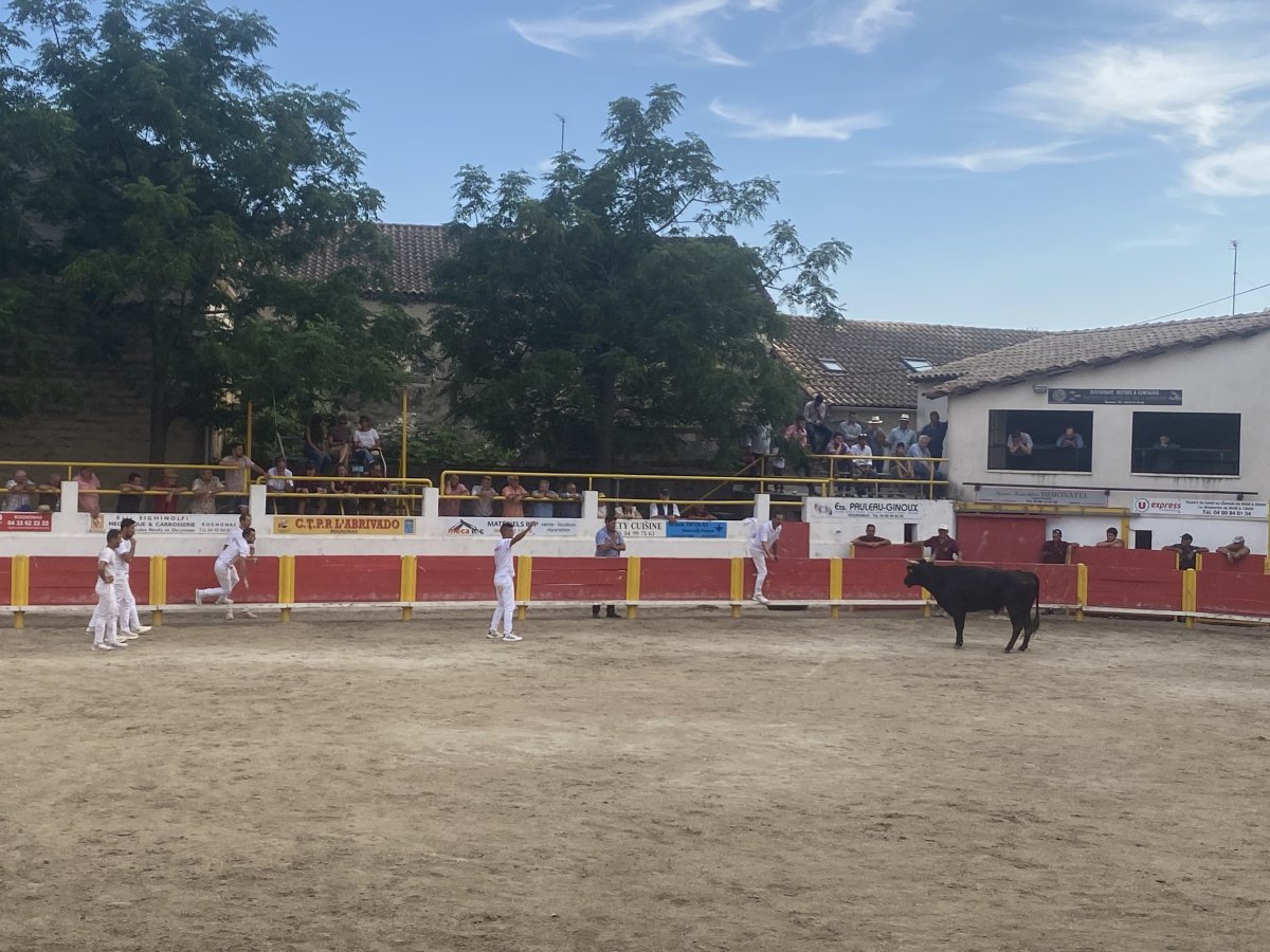 Rognonas :<br>2ème Journée Trophée des Charretiers