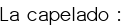 <u><span style="color:#0000FF;">La capelado :</span></u>