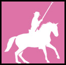 L'équitation Camargue chez nos cousins de la F.F.E.