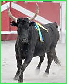 Camarina