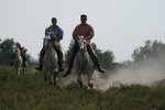 La course de Satin