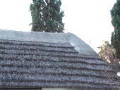 cabane de gardian