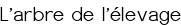 L'arbre de l'élevage