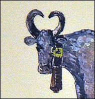 Robes et forme des cornes du Taureau Camargue - (3 - 12)