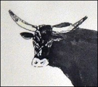 Robes et forme des cornes du Taureau Camargue - (2 - 12)