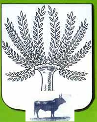 Le Cailar, ''<u>La Mecque de la Bouvine</u>'' en fête à double titre:2009 : 