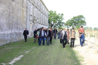Un colloque Scientifique sur le Cheval Camargue