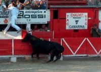 CAMARINA Biou d'Or 2005 - Ses sorties