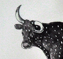 Robes et forme des cornes du Taureau Camargue - (6 - 12)