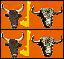 Fête 2012 du Club Taurin "Biòu Toros Vaunageol" de St Cômes et Maruéjols