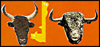 Biòu et Toros Vaunageol (St Côme et Maruéjols)