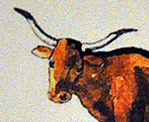 Robes et forme des cornes du Taureau Camargue - (5 - 12)