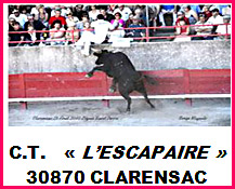 Le club taurin l'Escapaïre ; acte deux