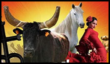 Marguerittes nous propose sa feria :