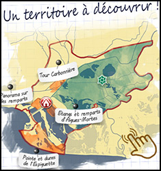 Maison du Grand Site de France de la Camargue Gardoise