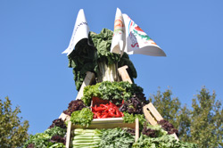 Quelques images du Trophée des Maraîchers 2014 (2/2)