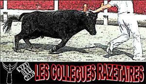 Collègues Rasetaires