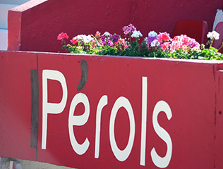Pérols : Vendredi 11 mai 2018. <br>Taureaux-bodega