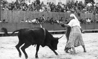 La troupe toreo comique "El Gallo" en deuil : 16 décembre 2006