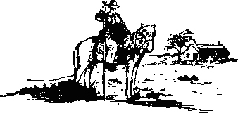 Les taureaux Biòu de l'Avenir