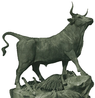 Le taureau de Nîmes.