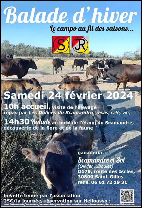 Pour changer un peu :<br>Balade à la ganaderia Scamandre et Sol<br>.