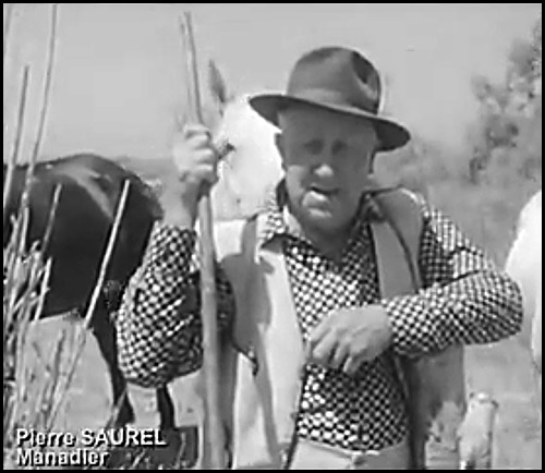 SAUREL Pierre, le Panard