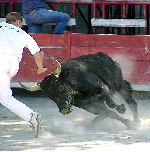 <span style="color:#0000FF;"><span style="text-decoration:underline;">SOUVENIRS...</span></span><br>Course de protection du 13 juillet 2002 à Lansargues (photos)