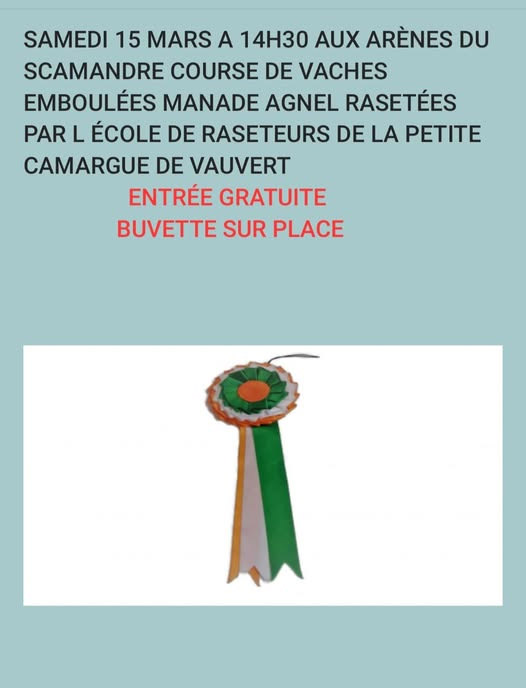 Aux arènes du Scamandre :<br>Vaches rasetées par les élèves de l'école de raseteurs 