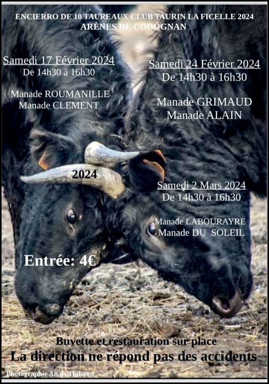 Codognan : Programme des encierros d'hiver 2024