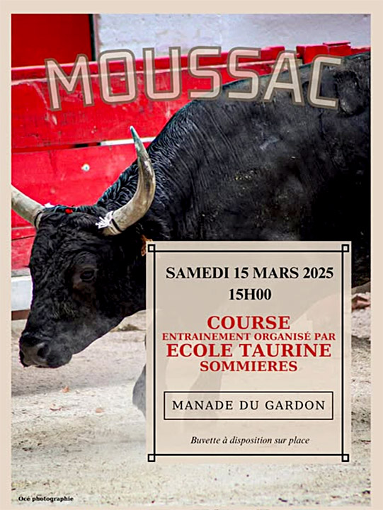 Moussac<br>Course d'entraînement