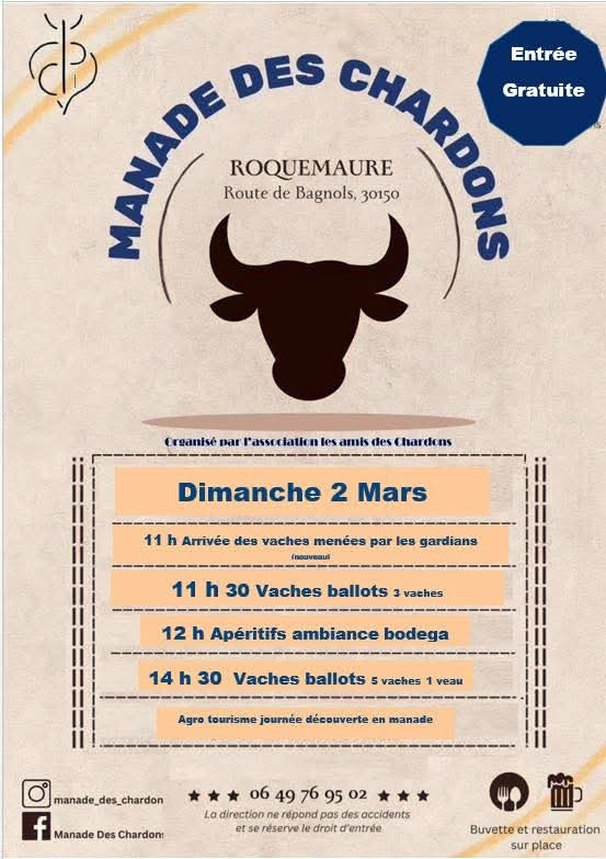 Vaches-ballots à ROQUEMAURE