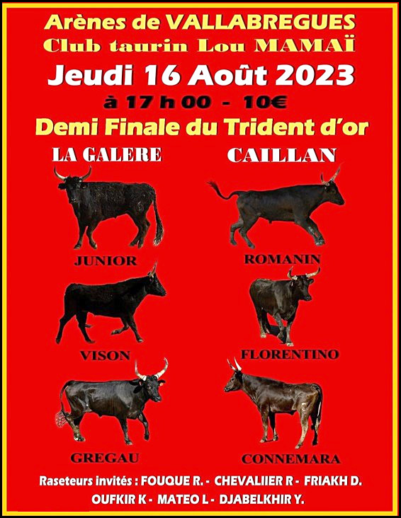 Le Club Taurin "Lou Mamaï" de Vallabrègues nous propose :