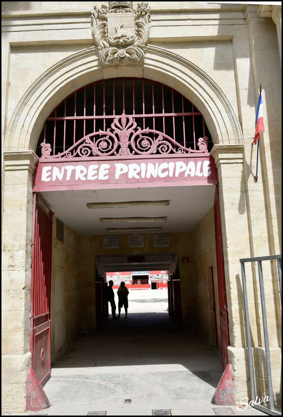 Un avis percutant sur la Finale de la Palme 2024 et sur l'avenir de la Course par "Don José"<br>.